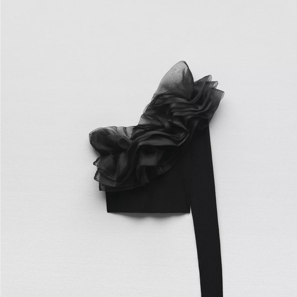 Zara Organza Crop top in black (used, size medium)